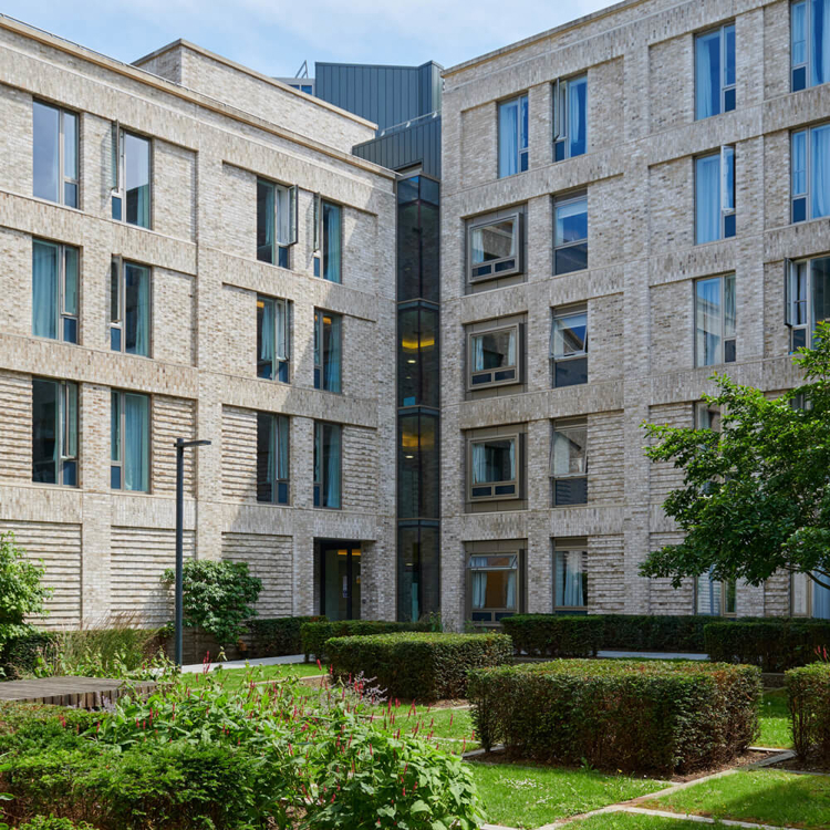 Clearing: take a virtual tour