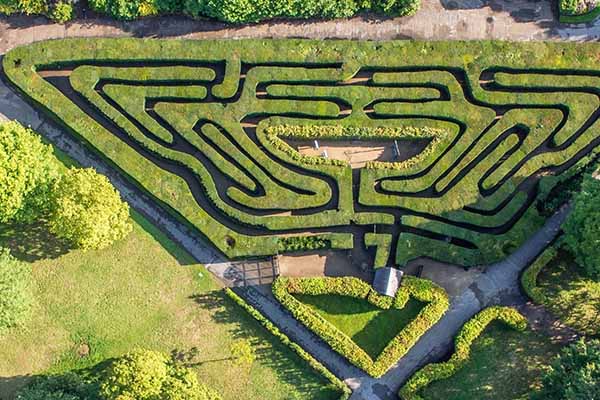 Hampton Court gardens and Bushy Park