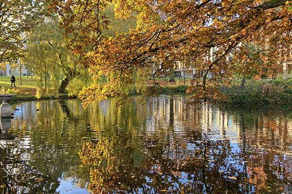 Roehampton Lake