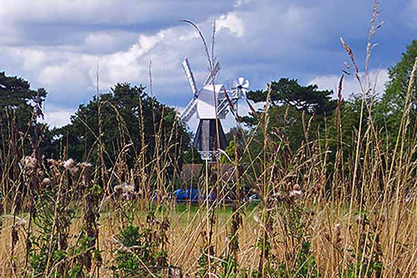 Wimbledon Common and Putney Heath