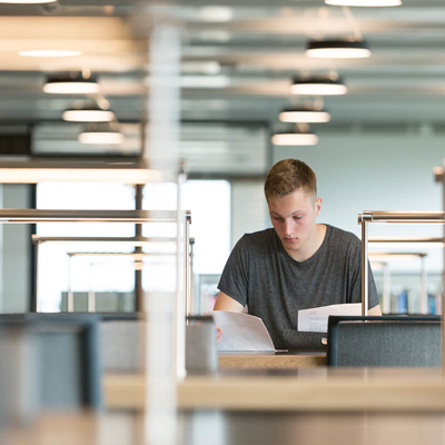 BSc Business Management and Finance | University of Roehampton, London