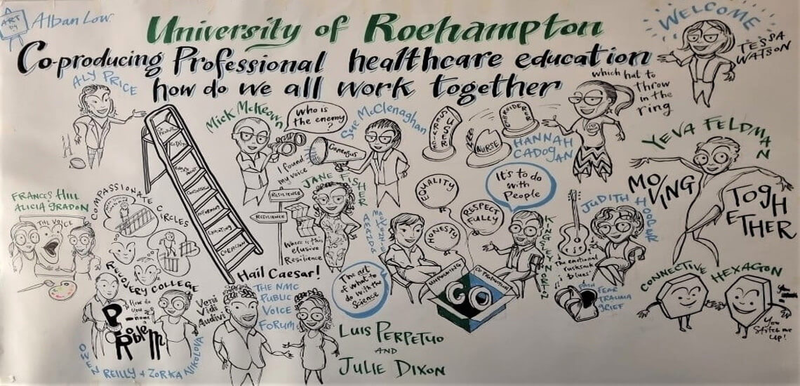 Co-producing professional healthcare education; how do we all work together