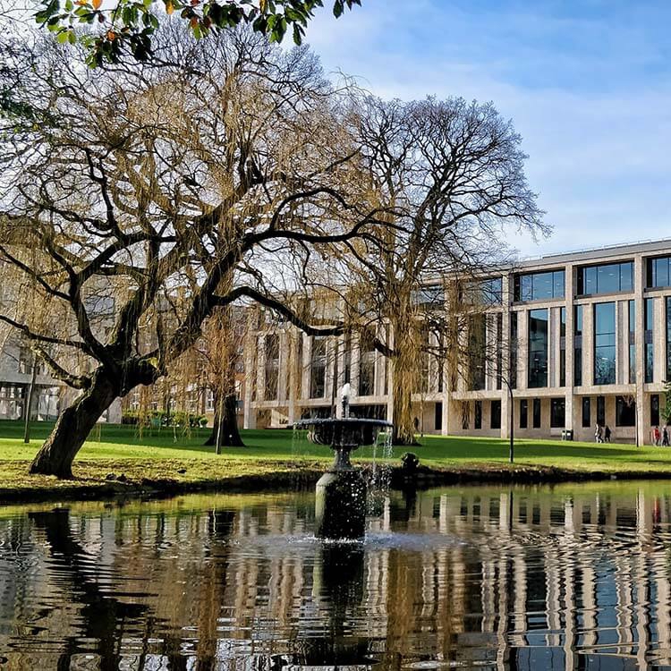 Library across the lake