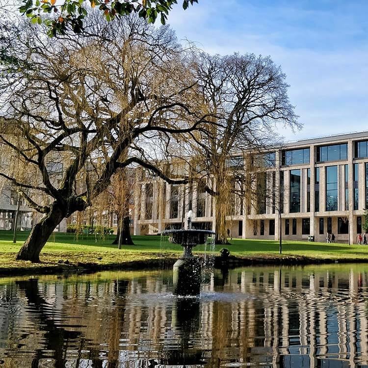 Library across the lake