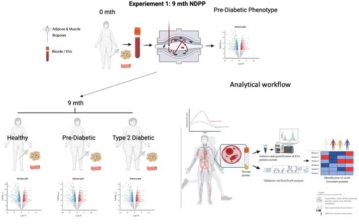 Investigating plasma biomarker